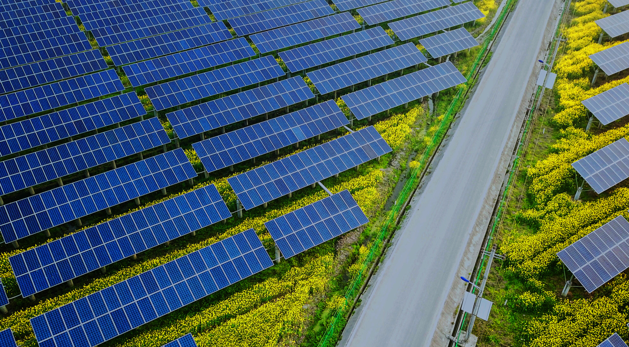 農(nóng)光互補(bǔ)